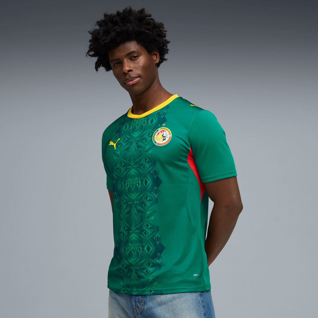 Senegal 2026 Away Jersey Official Jerseys PUMA 