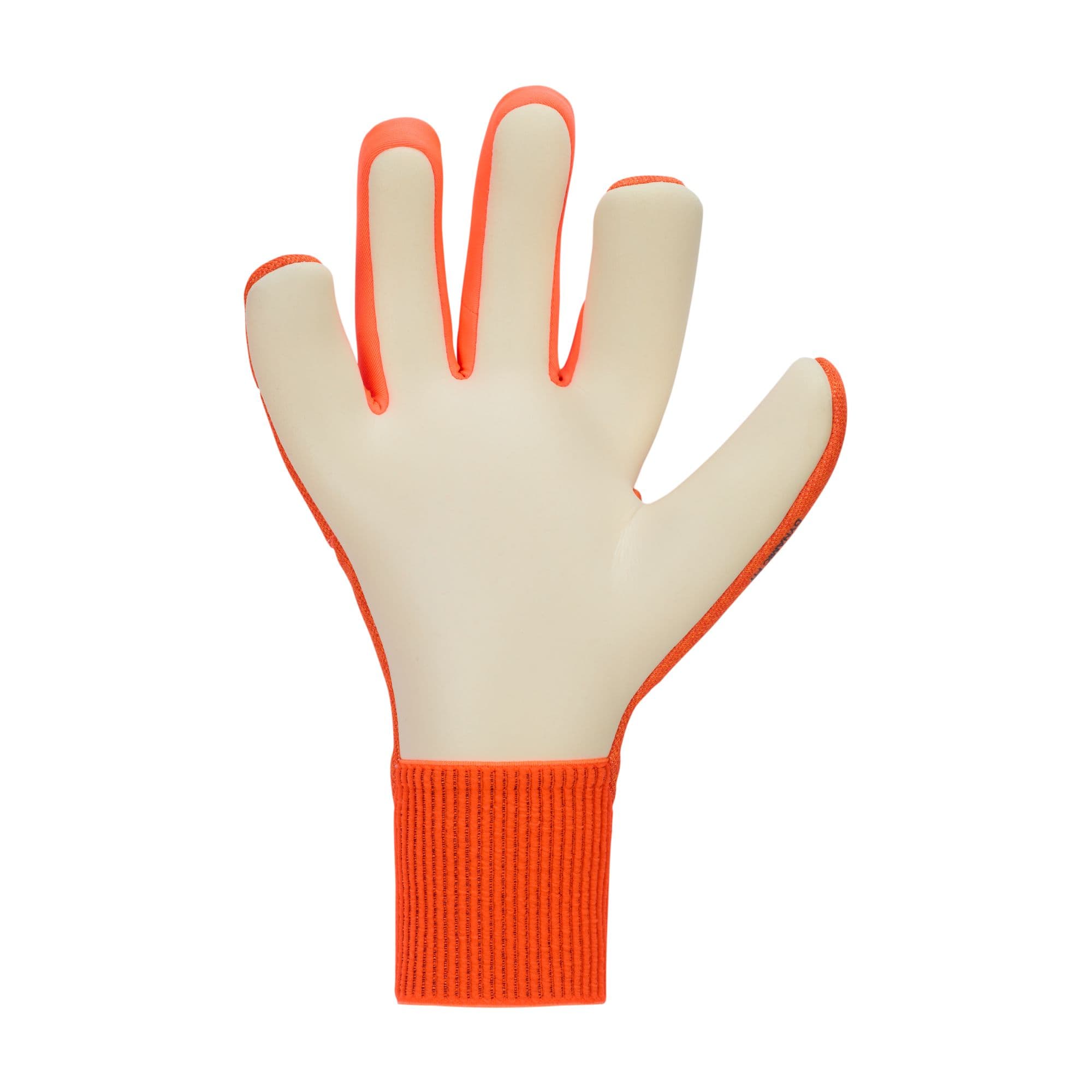 Nike Dynamic Fit Goalkeeper Gloves Nike 