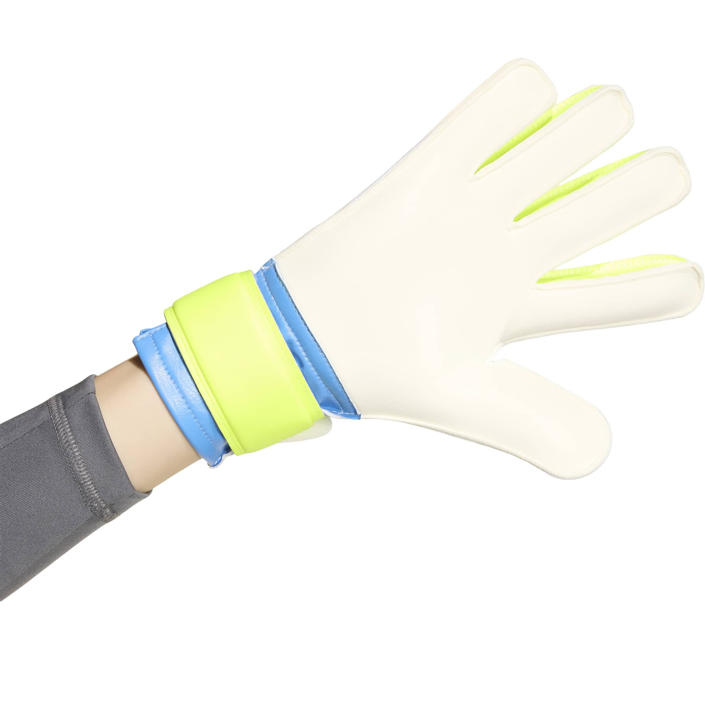 adidas Predator Training Goalkeeper Gloves Jr. Goalkeeper Gloves adidas 