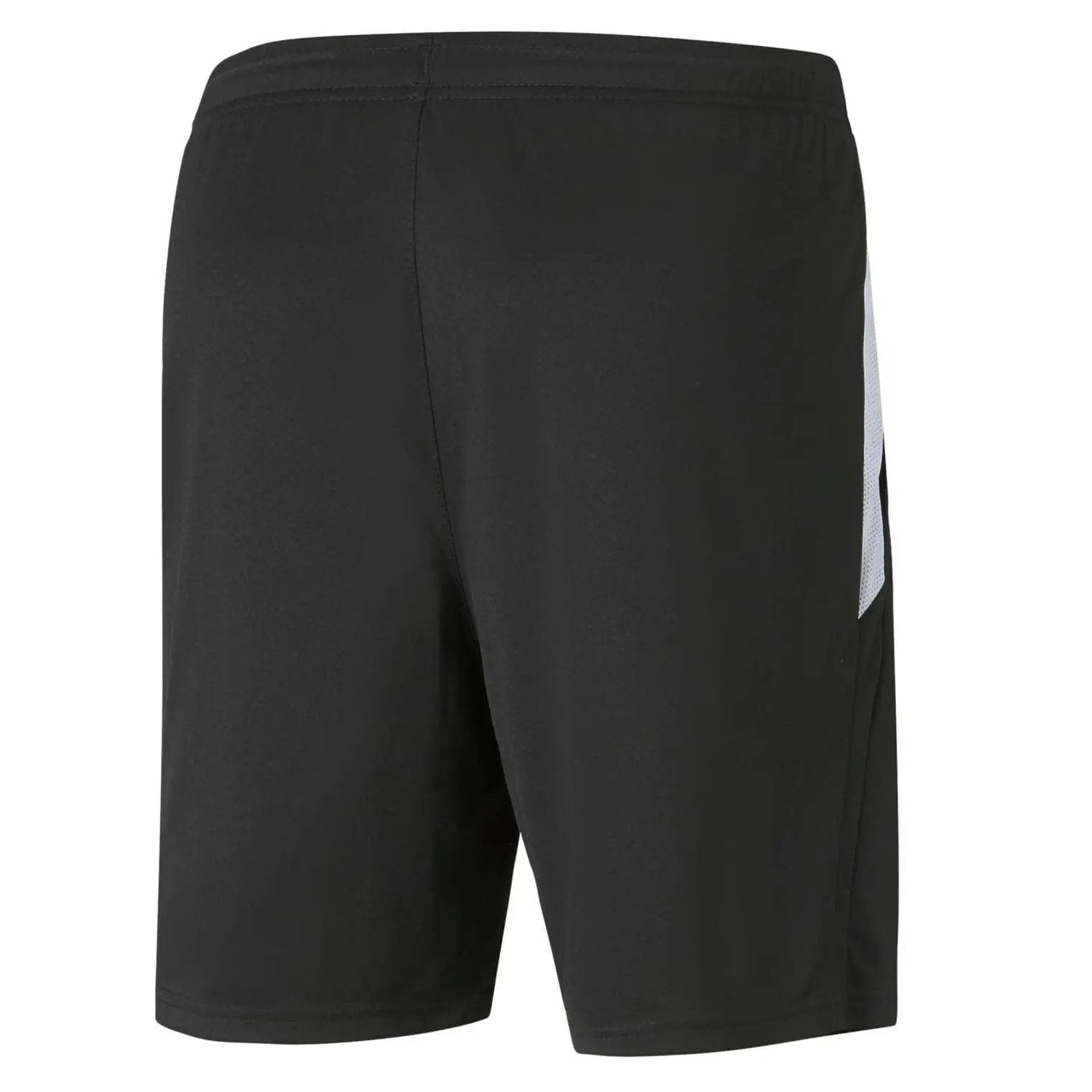 PUMA TeamLIGA Training Shorts Training Shorts Puma 